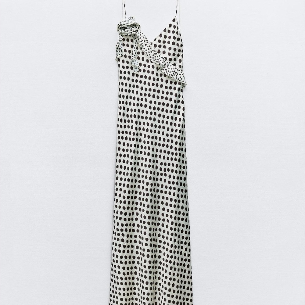 Polka Dot Maxi Dress